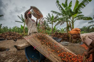 Feeding Africa’s Billion