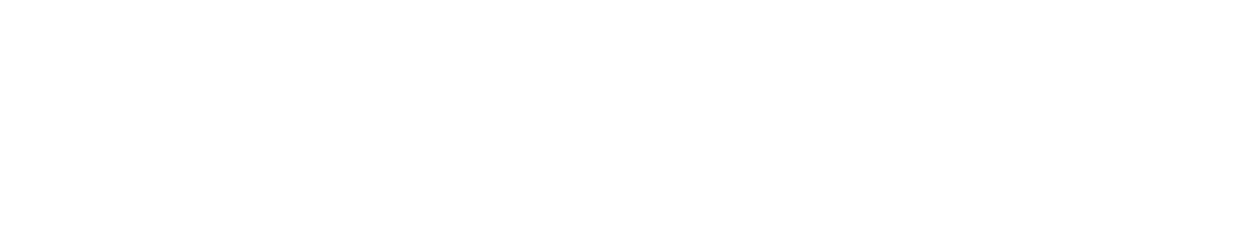 African Leadership University